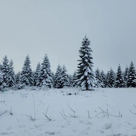 La Borbotte Holiday home *