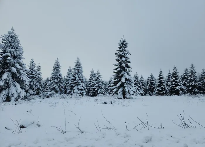 La Borbotte Holiday home *